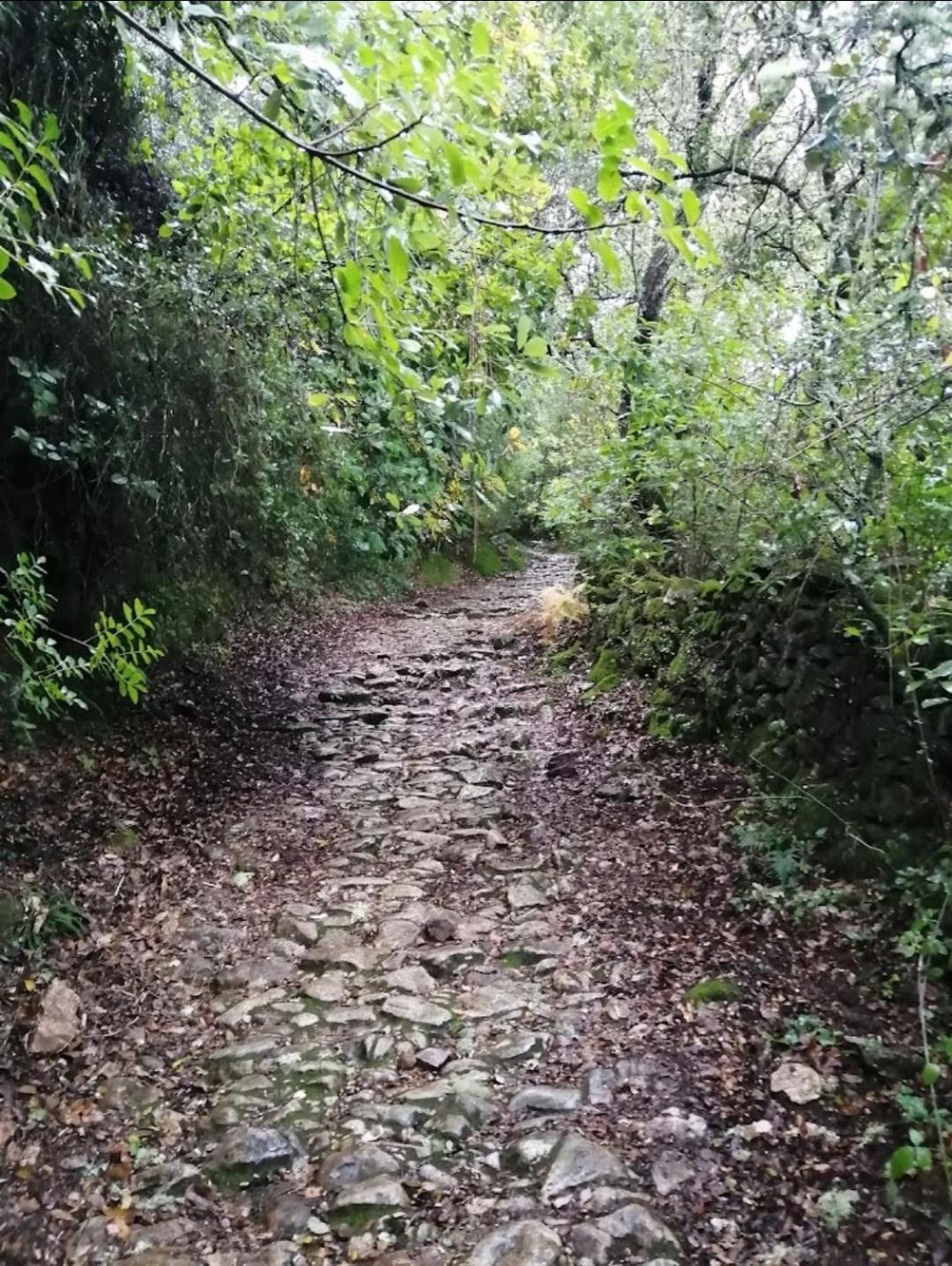 El Pico De Aroche Villa Ngoại thất bức ảnh